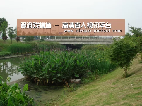案例展示四(图1)