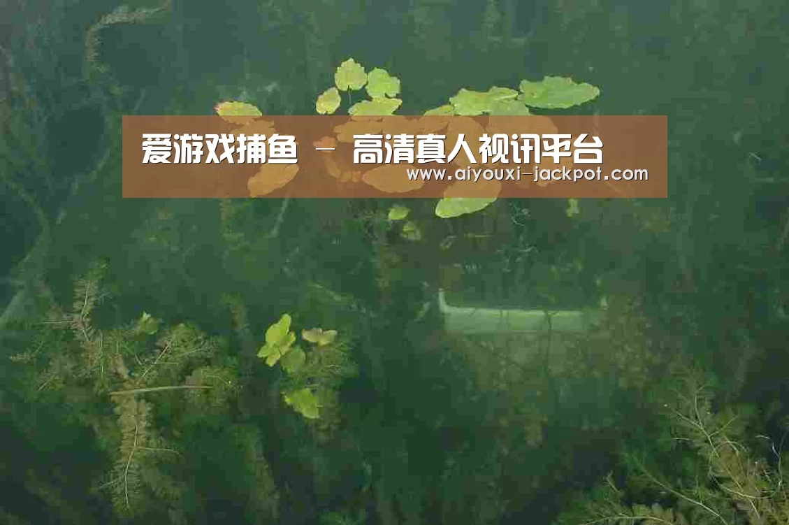 案例展示三(图1)