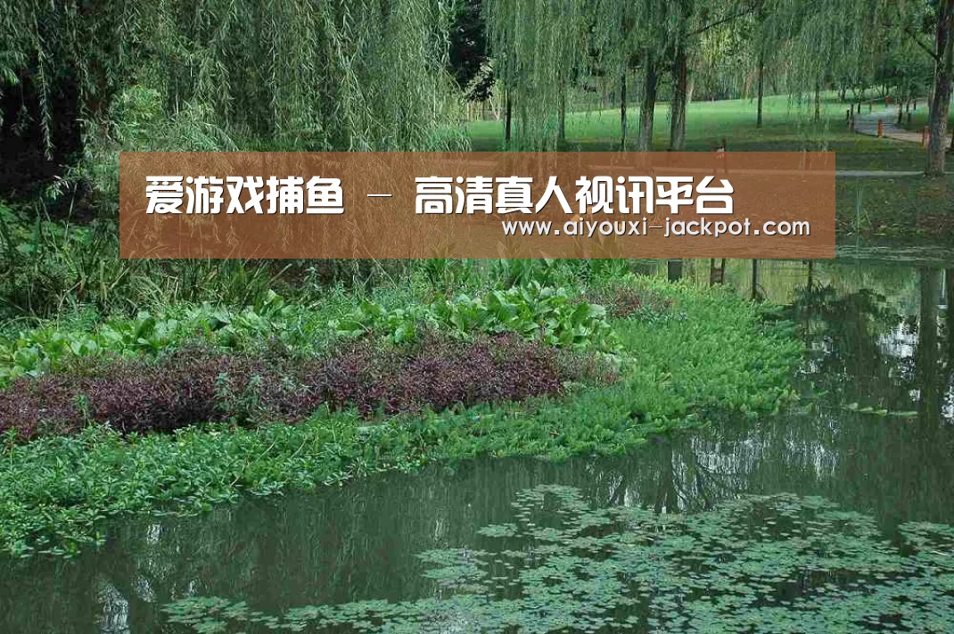 案例展示一(图1)