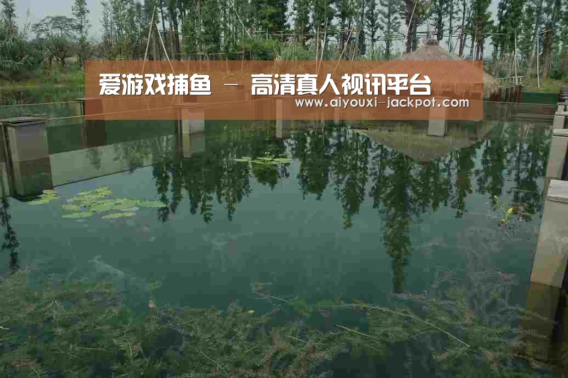 案例展示二(图1)