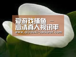 产品名称七