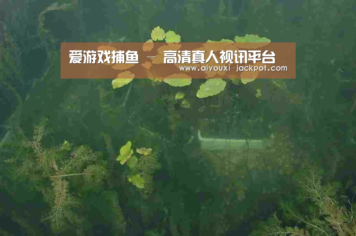 案例展示三