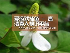 产品名称三