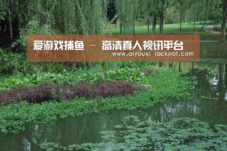 案例展示一