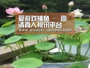 产品名称一