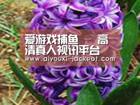 产品名称八
