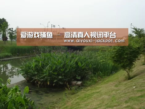 案例展示四