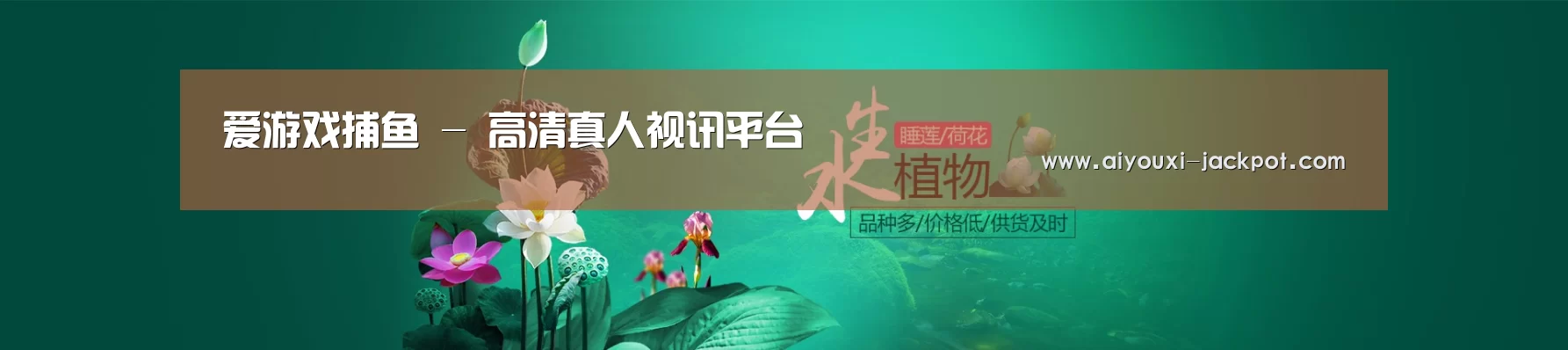 鲜花水草花卉网站模板