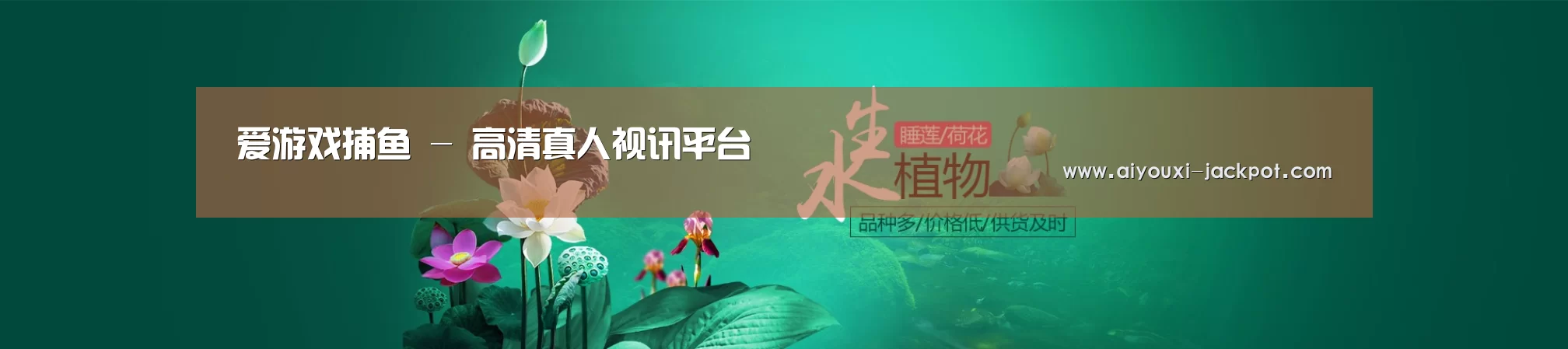 鲜花水草花卉网站模板