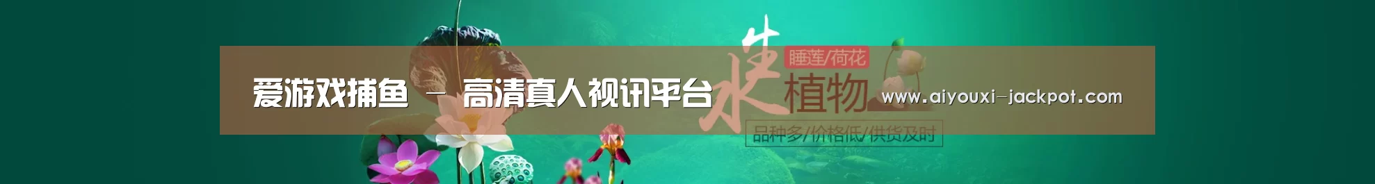 鲜花水草花卉网站模板