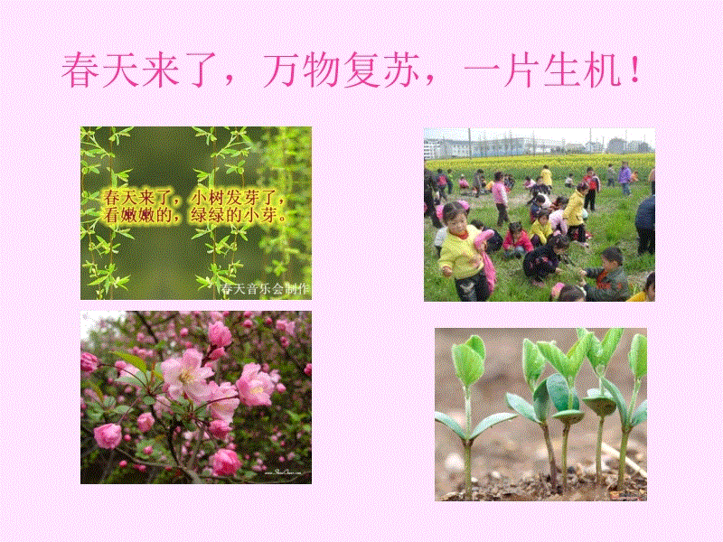 爱游戏捕鱼_多晶硅销售价格大跌 新特能源首季盈利预跌75%至80%(图2) 爱游戏捕鱼