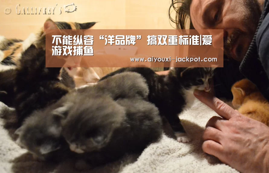 爱游戏棋牌游戏