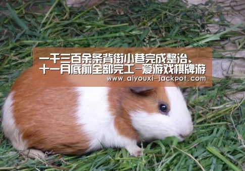 爱游戏棋牌游戏