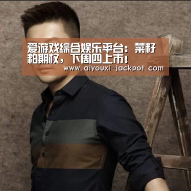 爱游戏电子游艺