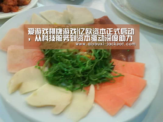 爱游戏综合娱乐平台