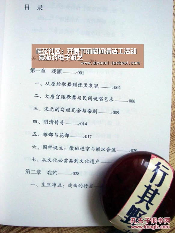 梅花社区:开展节前慰问清洁工活动_爱游戏电子游艺(图2) 爱游戏电子游艺