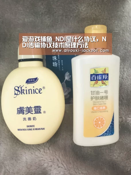 爱游戏捕鱼_NDI是什么协议,NDI传输协议技术原理方法(图2) 爱游戏棋牌游戏