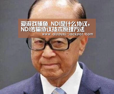 爱游戏捕鱼_NDI是什么协议,NDI传输协议技术原理方法(图1) 爱游戏棋牌游戏