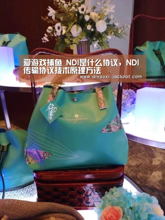 爱游戏捕鱼_NDI是什么协议,NDI传输协议技术原理方法(图4) 爱游戏综合娱乐平台